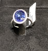 Anello Crivelli Donna Classic in Oro bianco Tanzanite 372-3083
